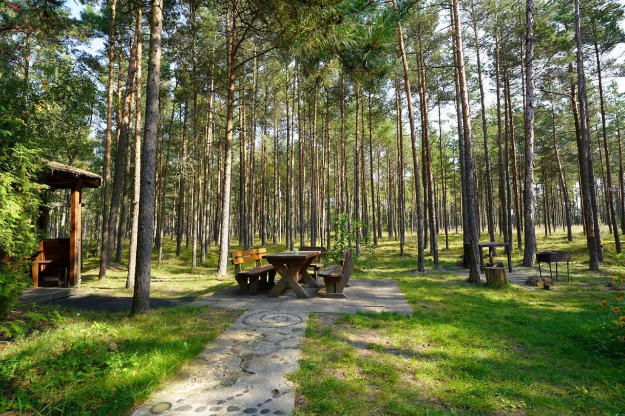 Forest Cottage Neringa Ngoại thất bức ảnh