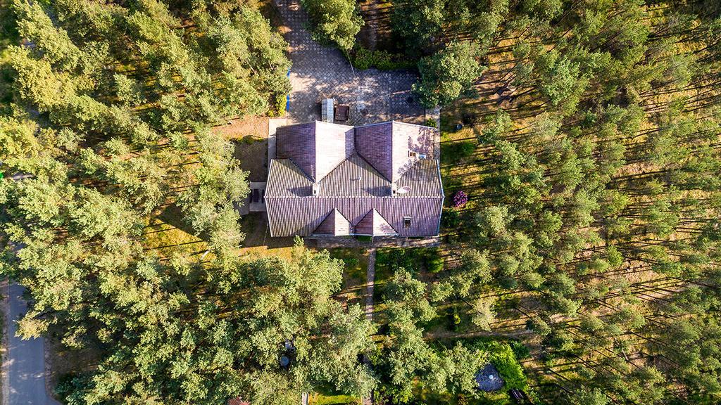 Forest Cottage Neringa Ngoại thất bức ảnh